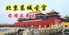 大鸡巴操逼视频啊啊啊啊中国北京-东城古宫旅游风景区